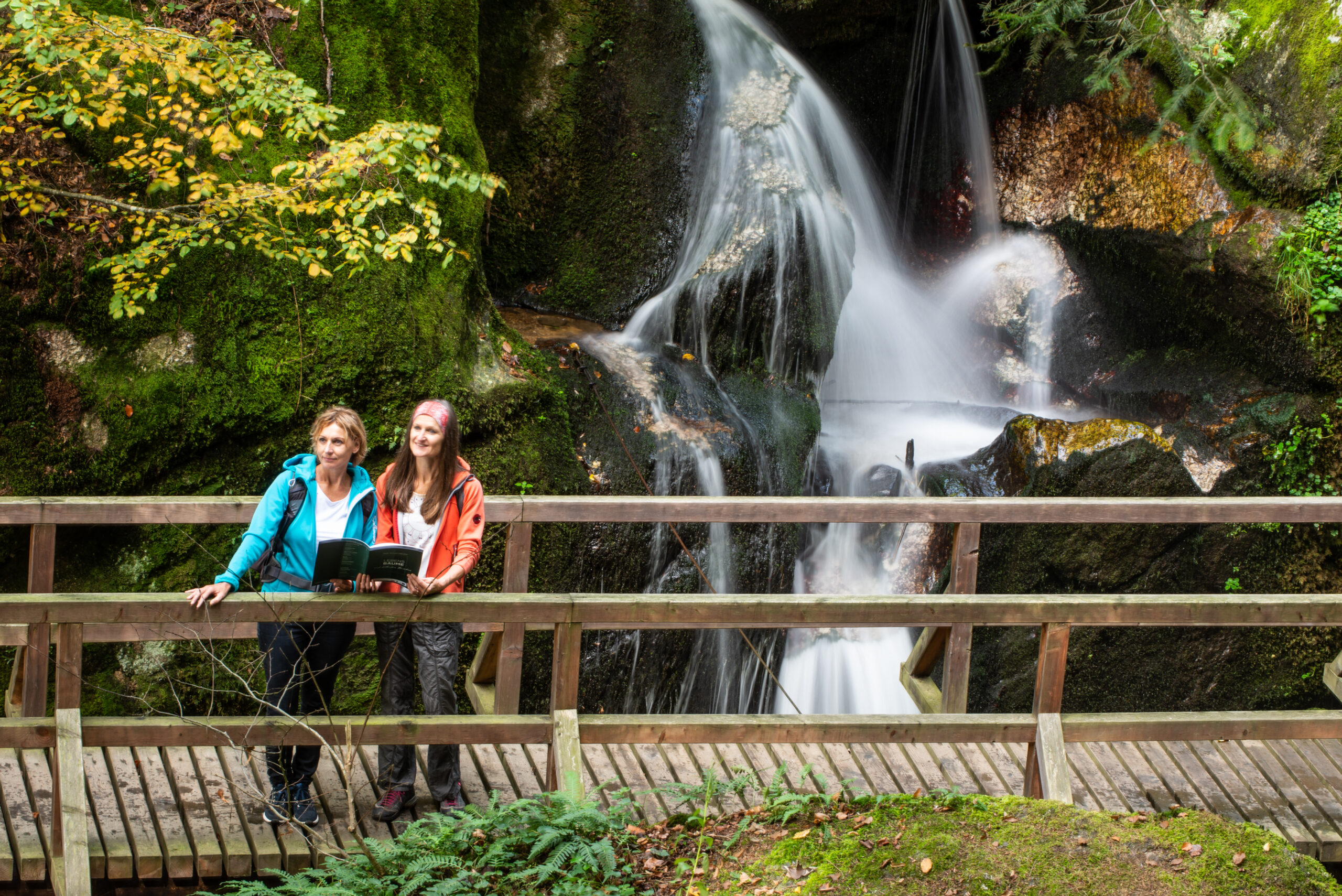 WolfsschluchtBadKreuzen29©WGDDonauOberoesterreichTourismusGmbHErber Wandern auf Burg Kreuzen